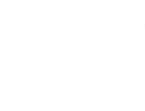 Création d’un logo contre le massacre des requins par la France pour Sea Shepherd France